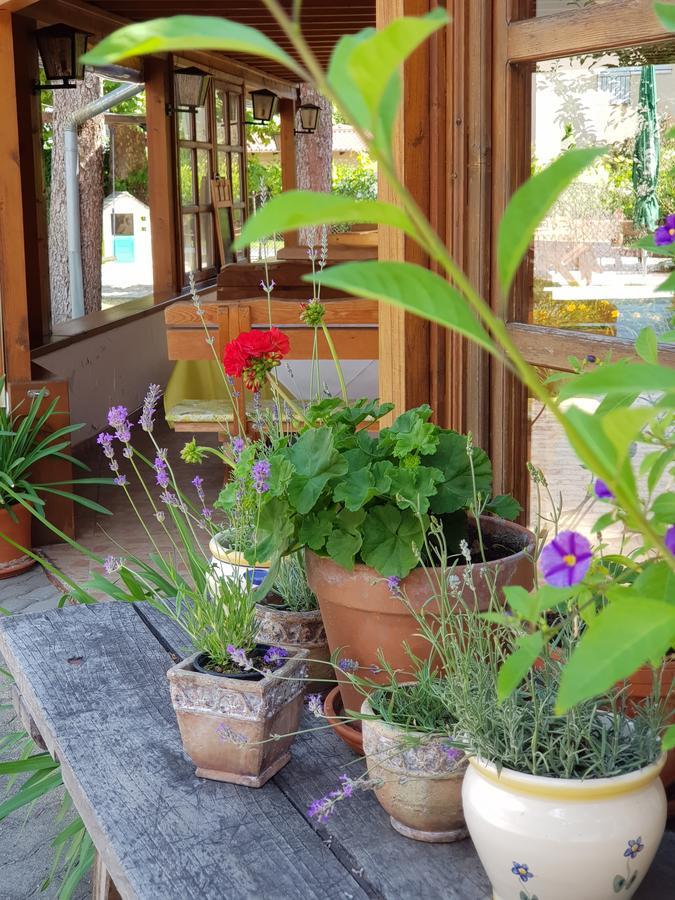Sommer Panzió Balatonfoldvar Exterior foto